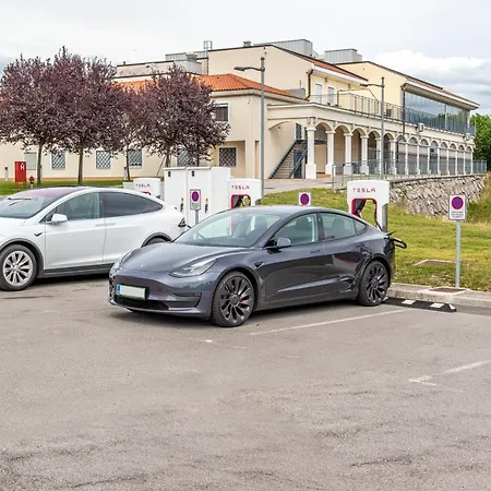 Casino & Admiral Козина