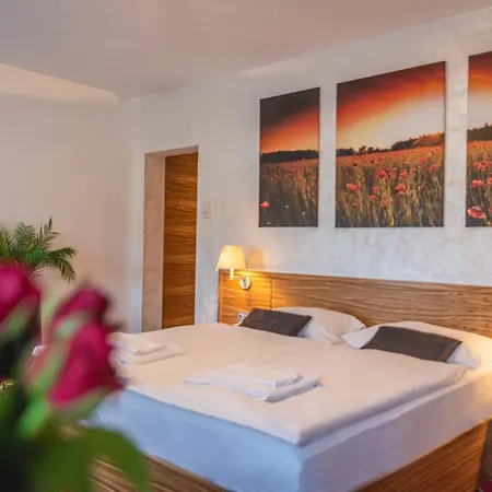 Casino & Admiral 3* Козина